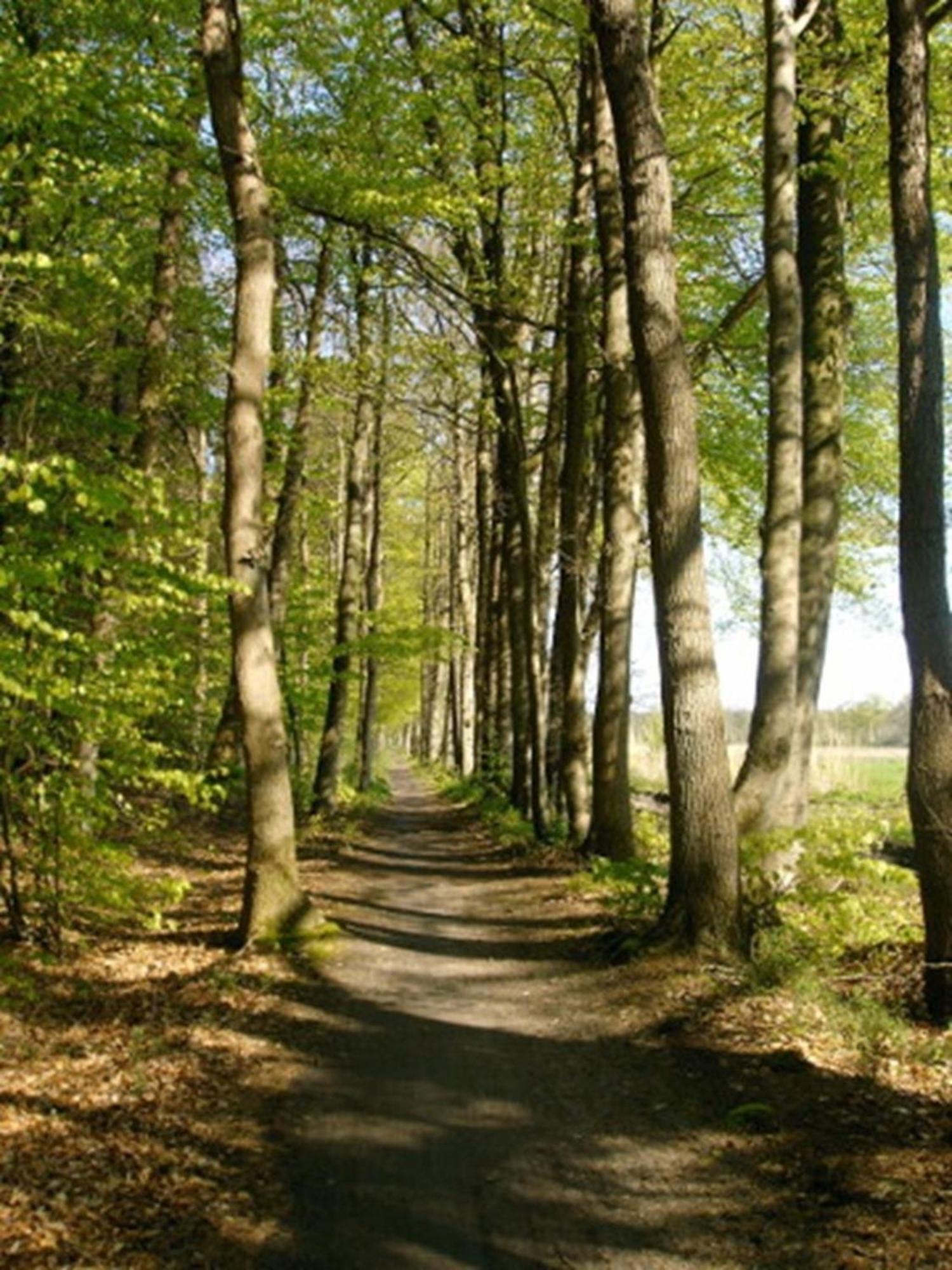 Ammerländer Ferienwohnung Westerstede Exterior foto